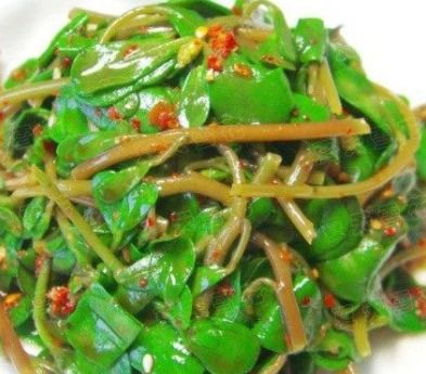 马芷苋最正宗做法是哪款？美食达人揭秘