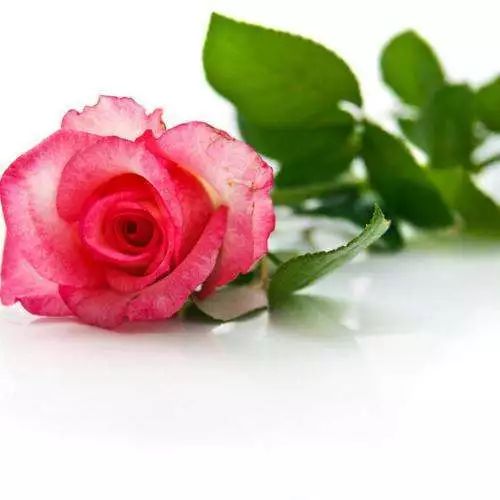 蓝色， 不只是好堪那么简单