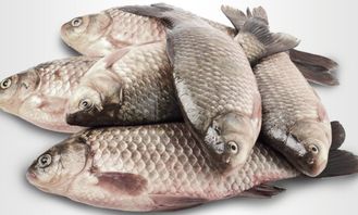 海鲜， 鲜美与平安的双重追求