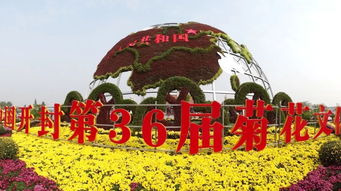 开封菊花展，每年何时绽放