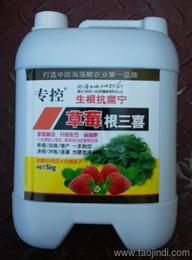 多菌灵，防范为主