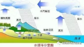 揭秘地球水循环：农业水资源管理的关键策略