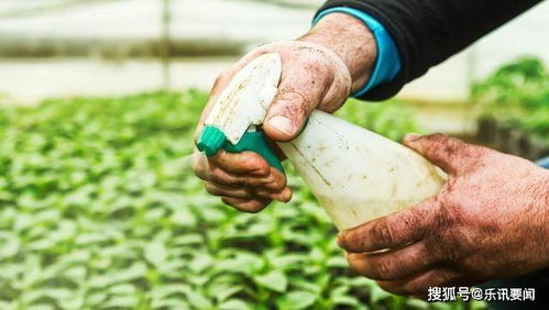 学生的社会实践活动