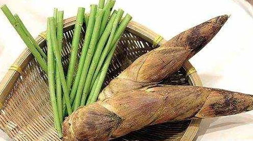 三月份的种植时机