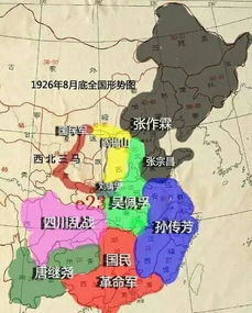 东三省草本植物：守护生态屏障的绿色卫士