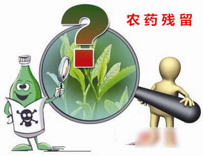 农药残留超标的风险