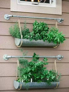 小区楼阳台设计还可与花园风格协调