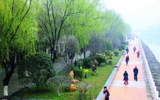 南昌，江西的绿色瑰宝