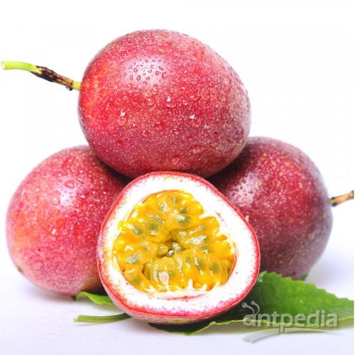 流通环节因素，天气及季节影响