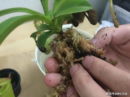 特殊情况下的注意事项