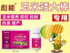 玉米控旺新招：三环唑显神威