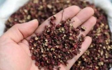 二、 打农药的具体方法