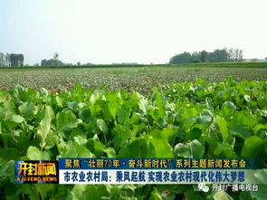 优化农业养殖环境，防潮除湿