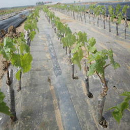 那夏天和冬天呢？