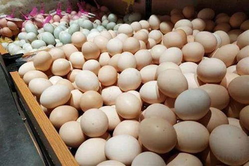 鸡蛋测试法， 准确率达89%