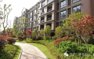 园艺小区的绿意盎然