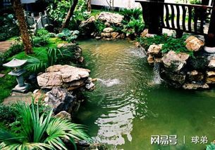 夏季鱼塘加新鲜水，最佳时间是什么时候？需要注意哪些事项？