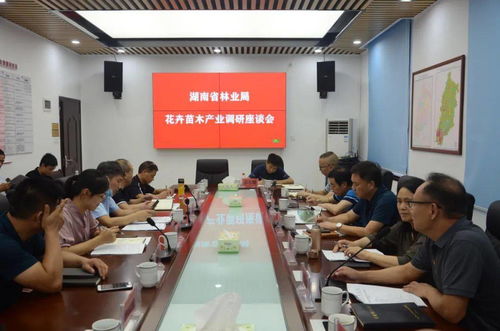 专家团队：专业特长与产业服务