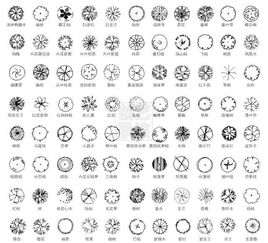 第三步：绘制灌木的轮廓