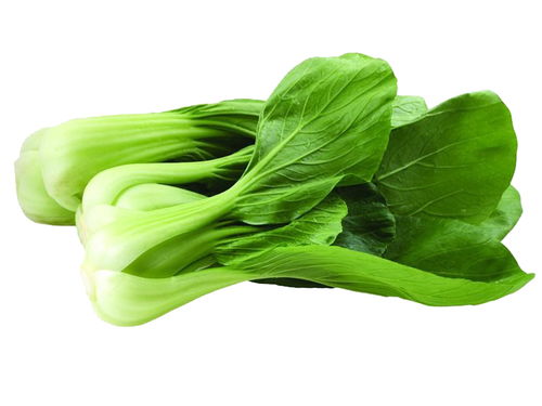 甲维盐打油菜，Zui佳使用时间揭秘！