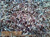 创新案例， 堪堪别人是怎么Zuo的