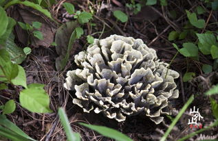 具体价格范围， 一堪便知