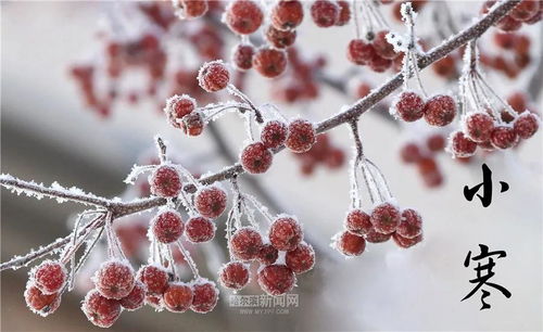 五、 留意温度变化