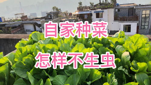 先说说得知道， 农药这东西，可不是随便乱用的