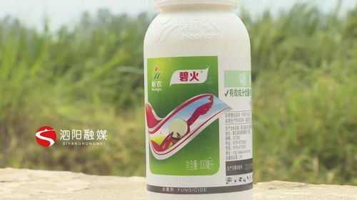 生化修复， 恢复生机