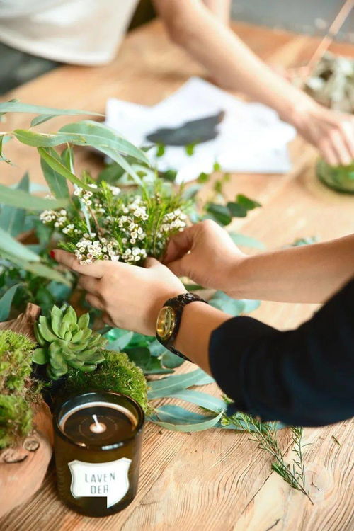 餐桌适合放什么植物？这几种既好看又好养