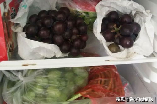 蛞蝓冰蓝色肉花长啥样？看完这篇你就知道了