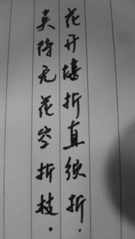 花开须折堪须折，莫待无花空折枝