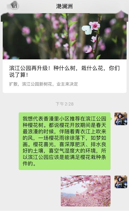 去年我在南京紫金山观察发现， 成熟果荚会经历三次变色：