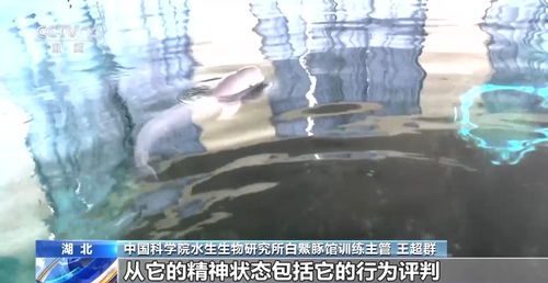 科学调控养殖环境，保障动物健康生长