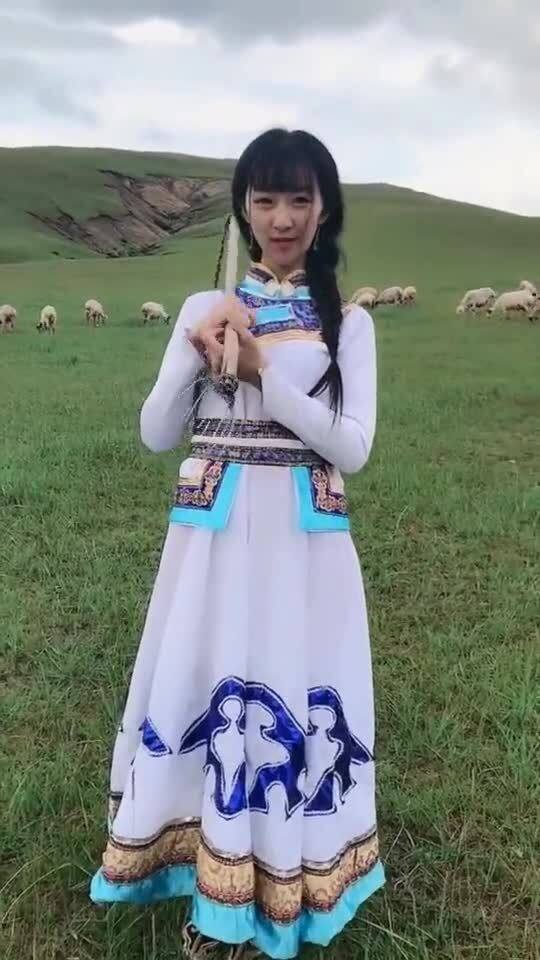 大草原：生命的舞台