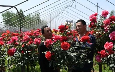 美丽东改线， 南水北调白河倒虹吸