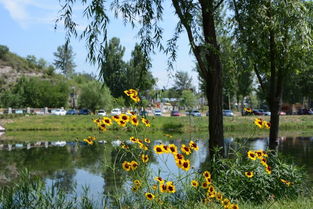 不负春光， 休闲农业展翅飞翔