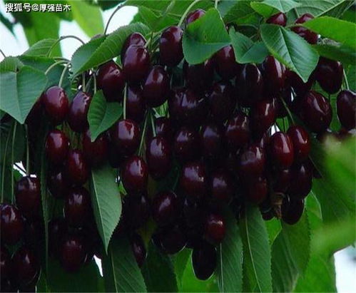 第一步：选核，比找对象还讲究