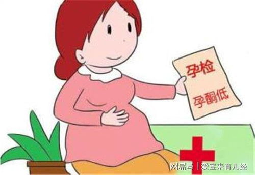 孕兔不同阶段精准投喂，如何做到保胎省料？