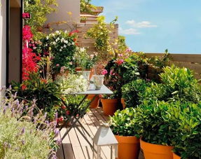 紫藤花：浪漫的情怀，拱门上的诗篇