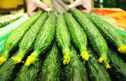 8. 黄瓜
