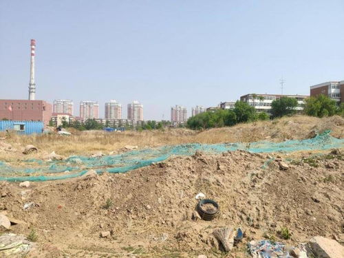 旱涝无常？不怕，这些花草来帮忙！