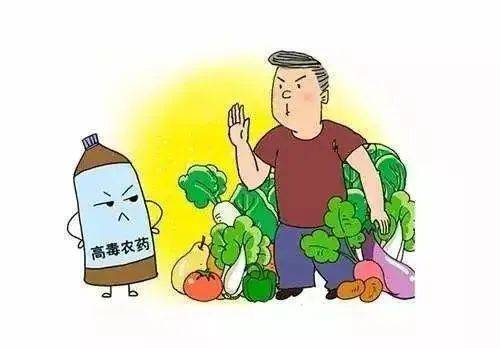 种粮时的农药选择：平安与效果的平衡艺术