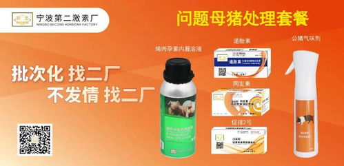 土榨茶油：传统与现代的味蕾之争，哪款更胜一筹？
