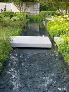 4. 桂树：高洁的象征