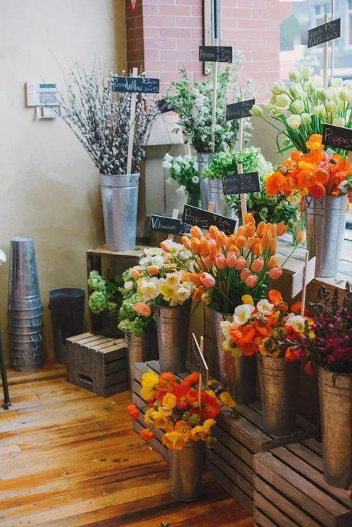 “打造小区花店，如何让鲜花成为邻里间的温馨桥梁