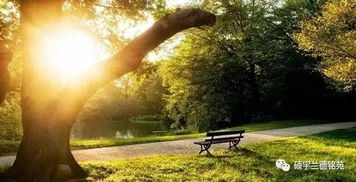 东北冬天的神奇绿草之谜