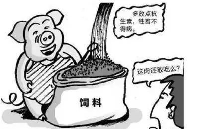 猪场药物滥用，九大原因致浪费