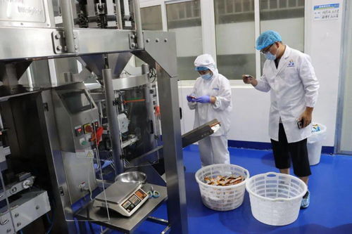 福建中凯检测：专业的第三方检测机构