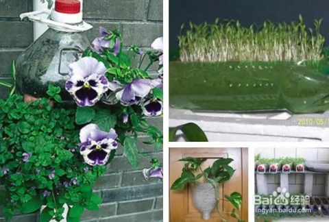 塑料地板围成的花盆，滴水的速度